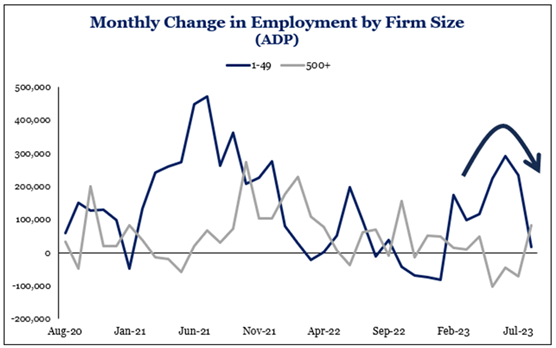 Monthly Change in Employment by Firm Size (ADP) line graph from August 2020 to July 2023