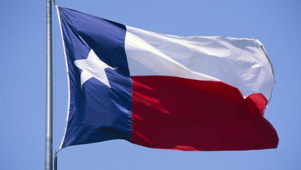 Essential Economics Texas state flag