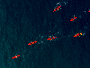 Group of coworkers team building- Kayaking in the ocean in La Jolla, California