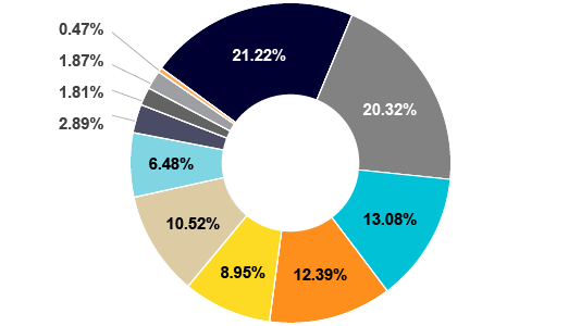 Texas Capital Texas Equity Index sector pie chart